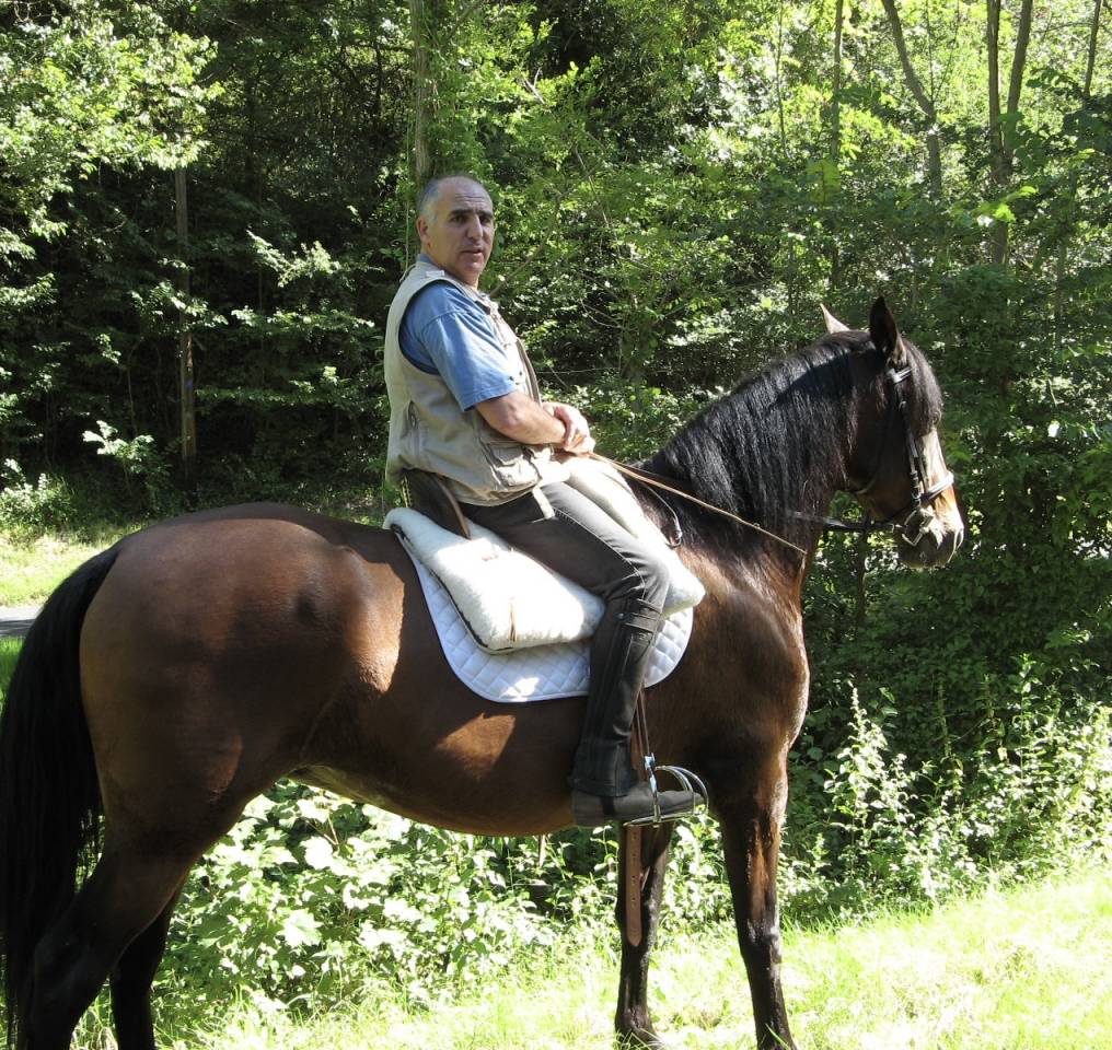 un copain pour ma jument au pr&eacute; 