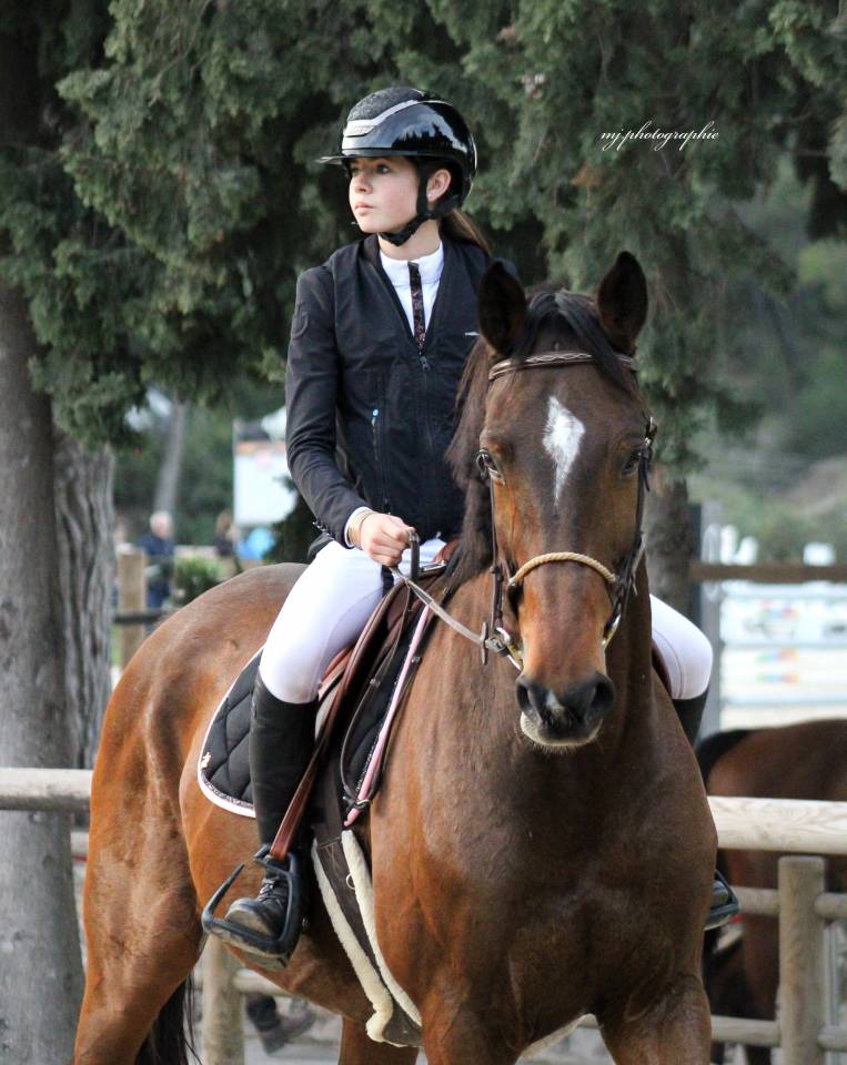 Cheval &agrave; vendre - Magnifique hongre de 11 ans