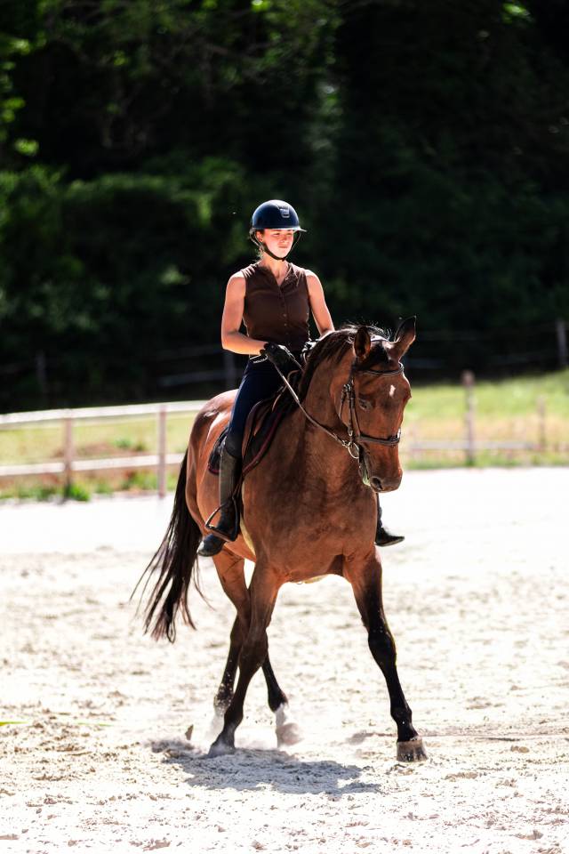 Jument 9 ans par Canturo