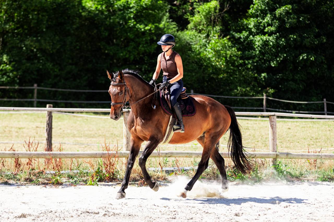 Jument 9 ans par Canturo