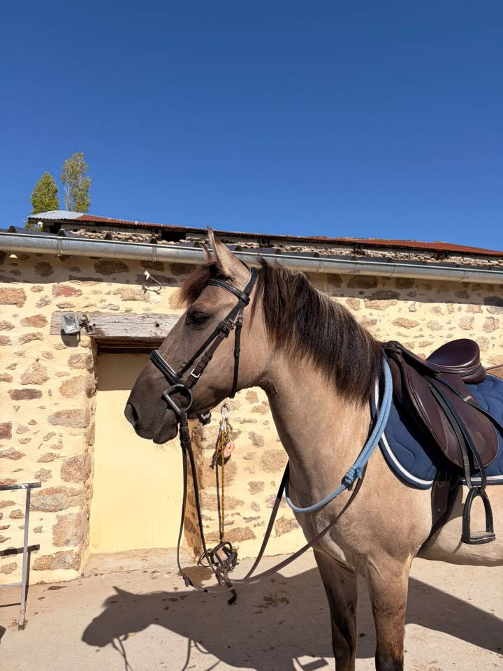Ponette onc 