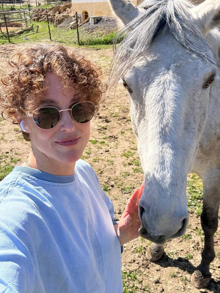 &Agrave; VENDRE &ndash; RAMS&Egrave;S ? Lusitanien &bull; 7 ans &bull; 1,61 m