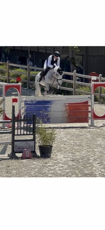 Vends cheval CSO gros moyens