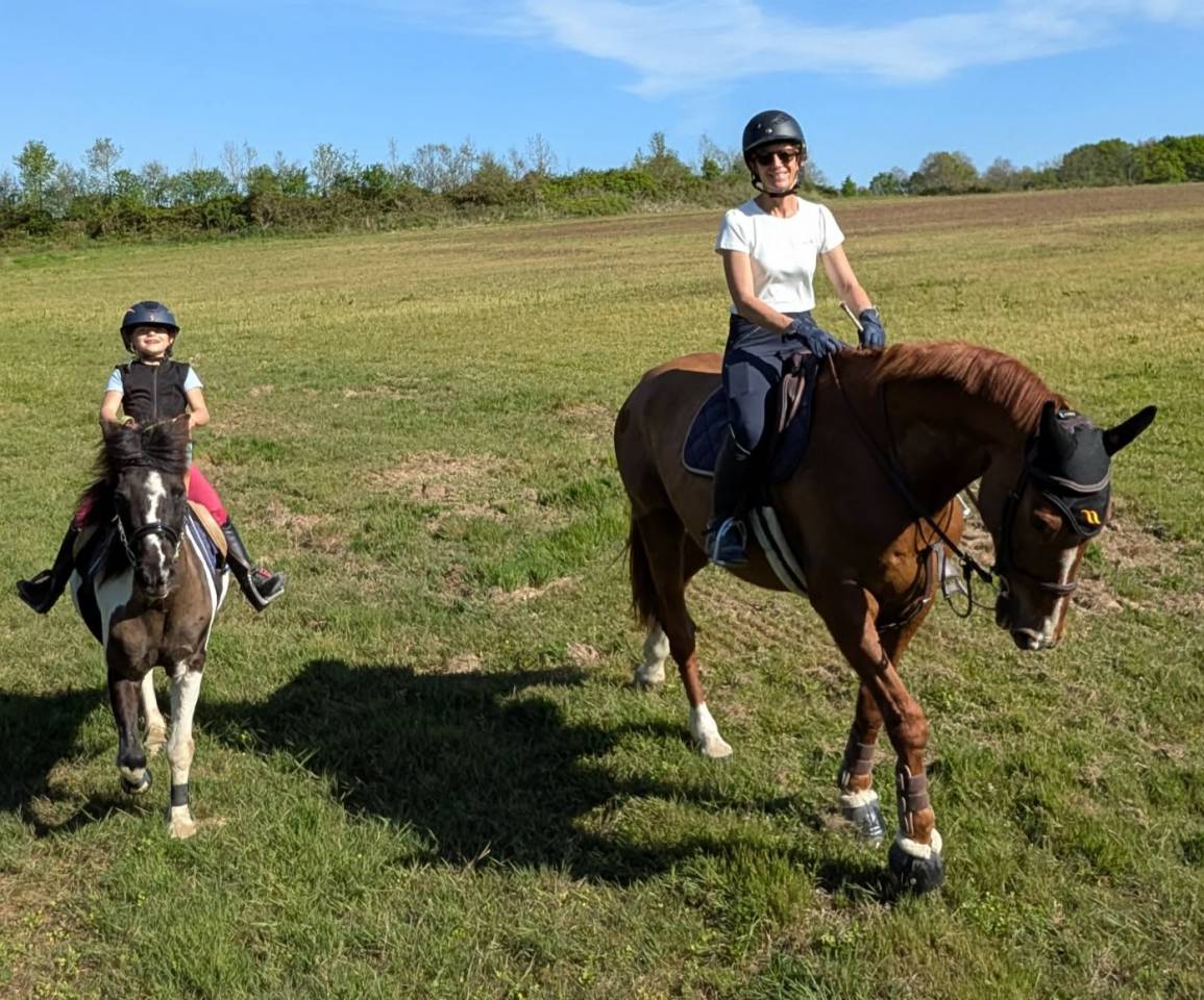 Cheval loisir et ou compagnie 