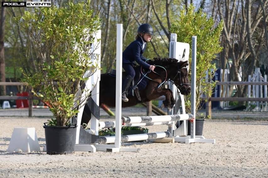 Demi-pension Blackpearl d&rsquo;Upapie, shetland PP 15 ans