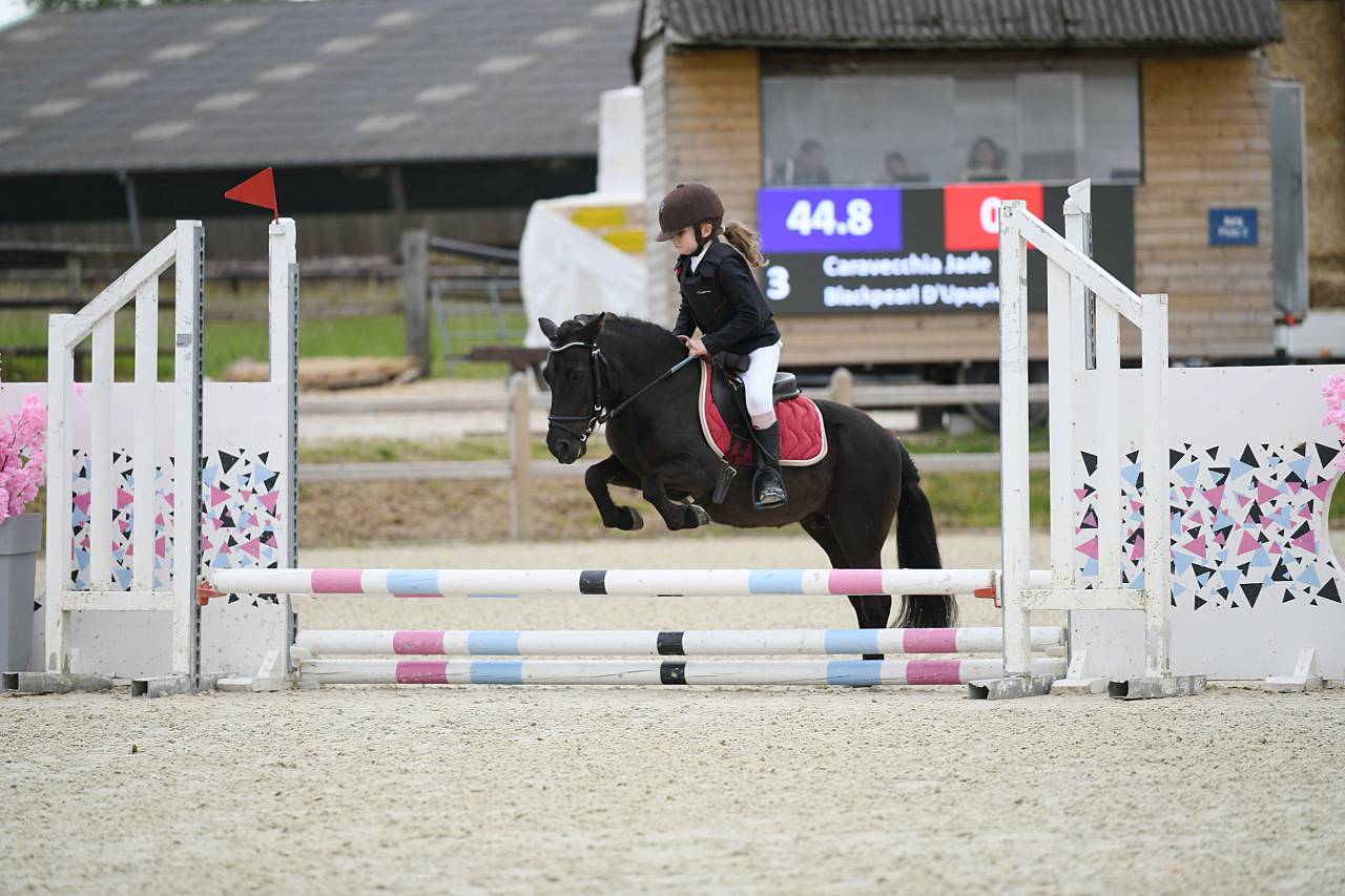 Demi-pension Blackpearl d&rsquo;Upapie, shetland PP 15 ans