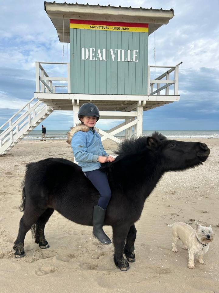 Demi-pension Blackpearl d&rsquo;Upapie, shetland PP 15 ans