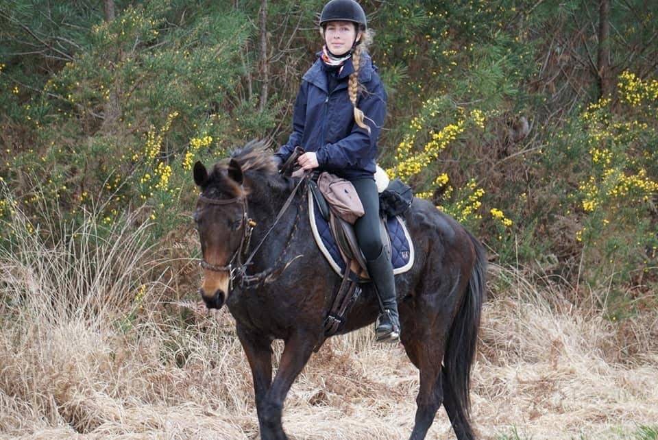 Jument AQPS, 11a, ext&eacute;rieur(Trec, rando, endurance,cso)
