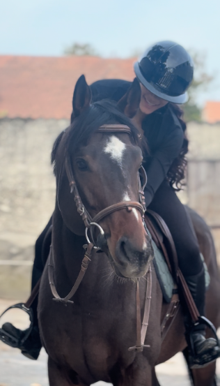 EVA THEOPHILE PALFRENIERE / CAVALIERE 