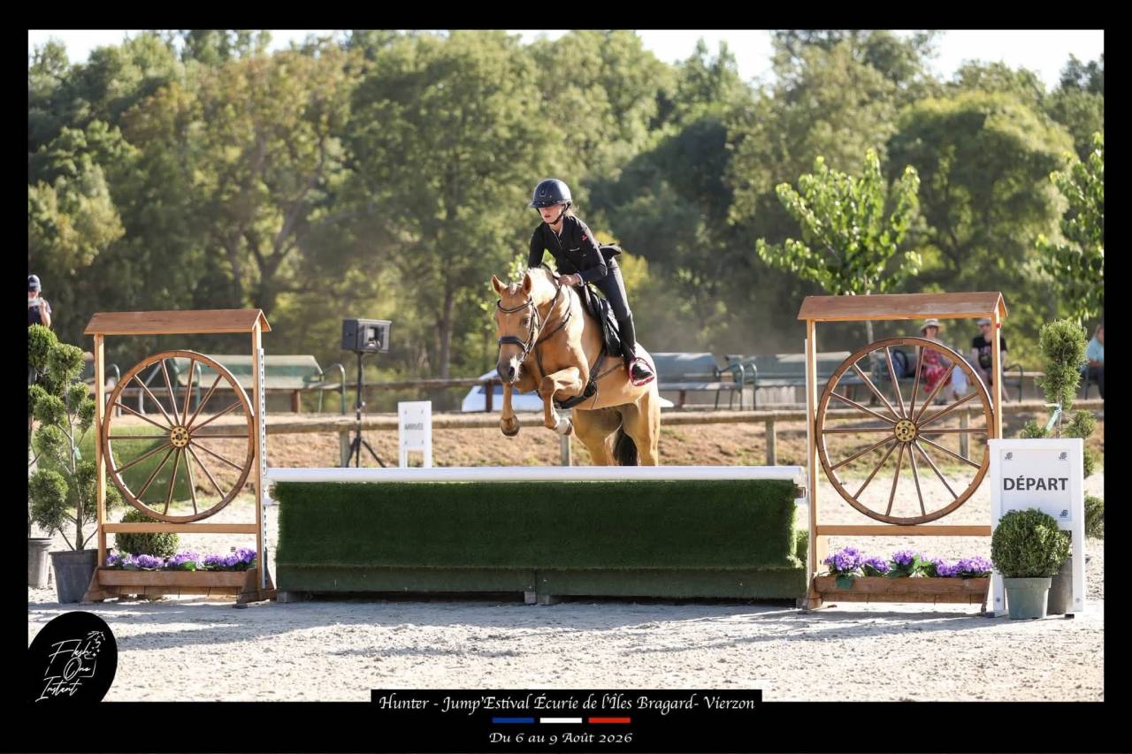 Poney de Sport 