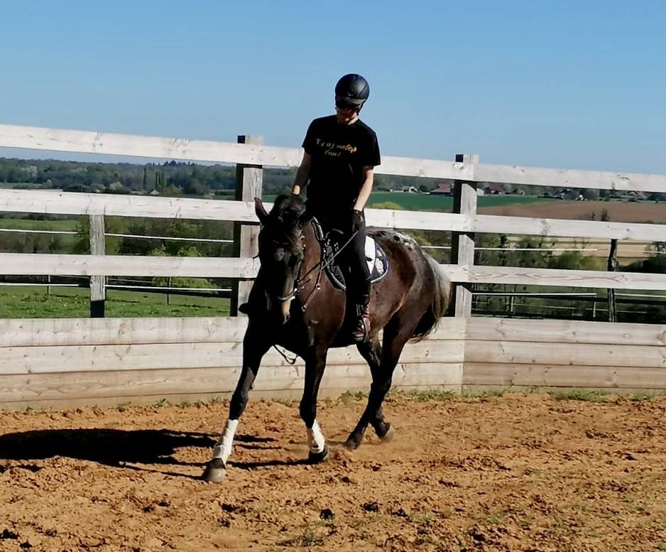 Belle jument appaloosa 8 ans 