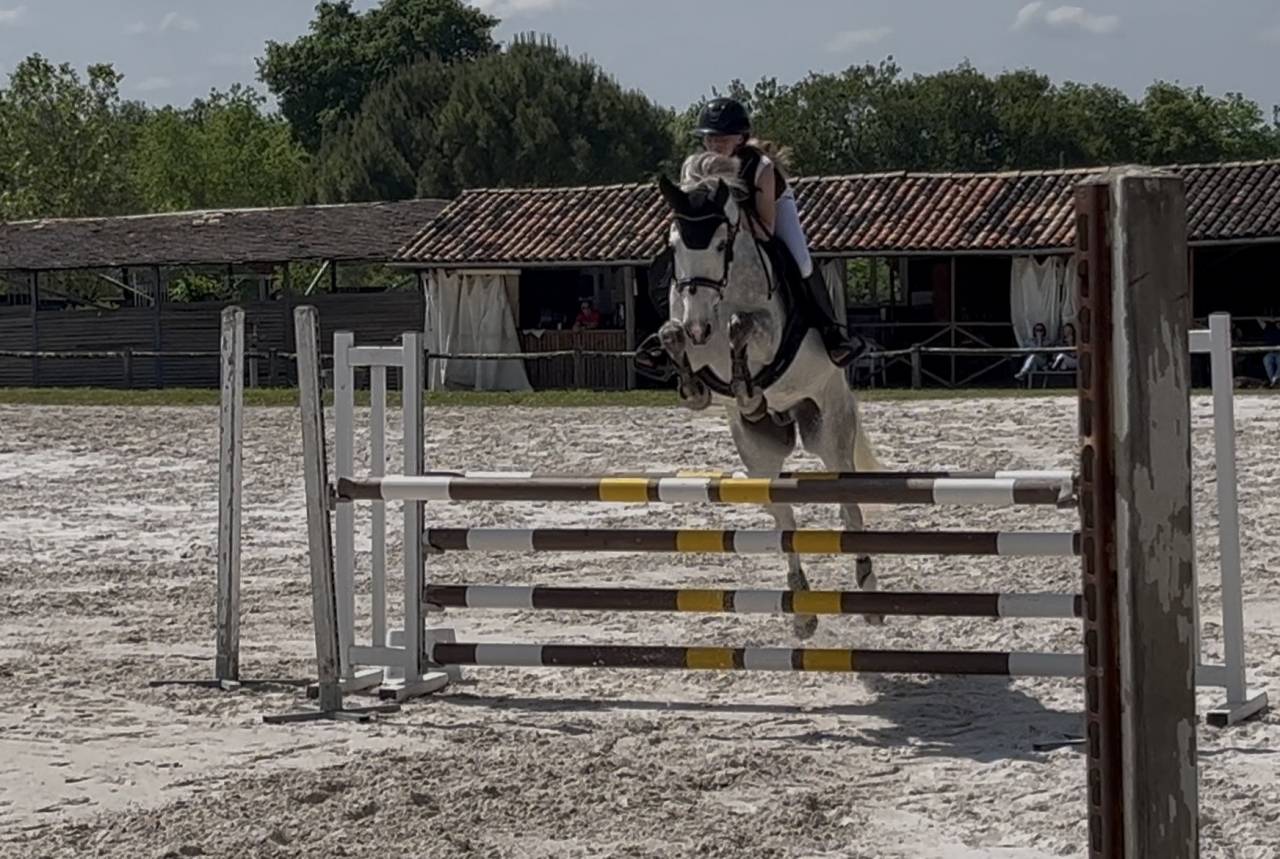 Poney PFS de 7 ans - 145 - gagnant P1/elite 