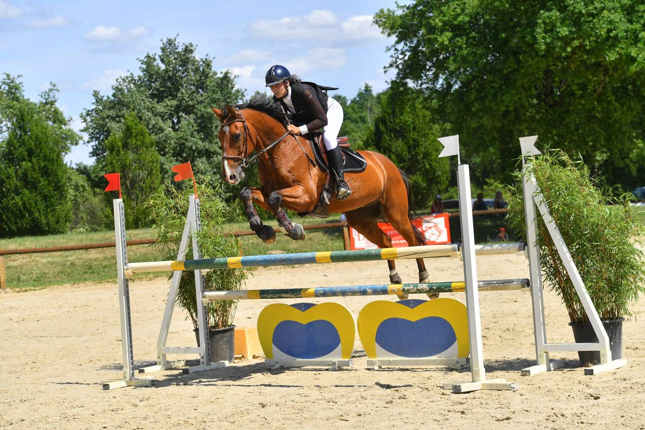 Cavali&egrave;re maison/concours, groom