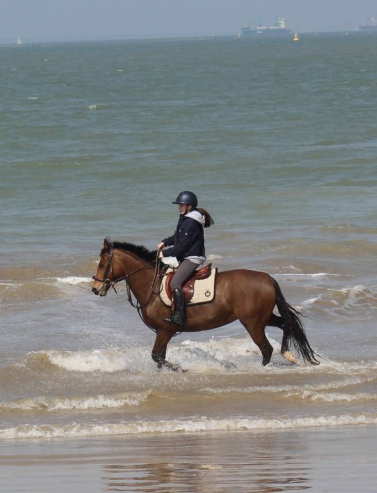 Poney D