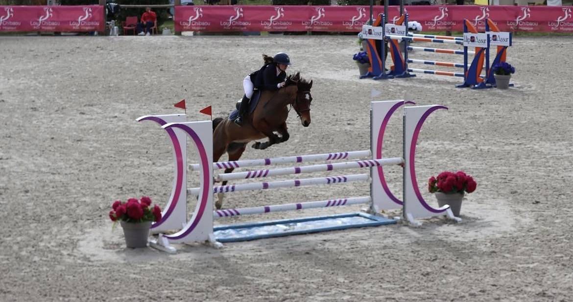Poney D