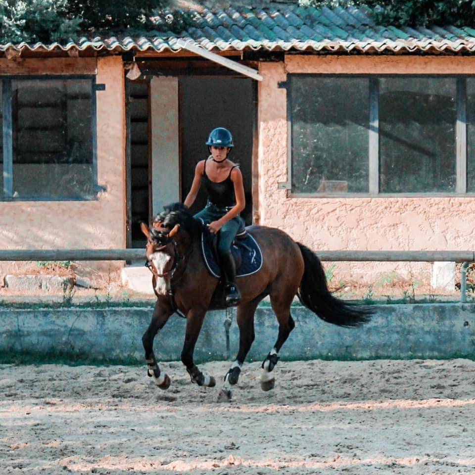 Poney &agrave; vendre 