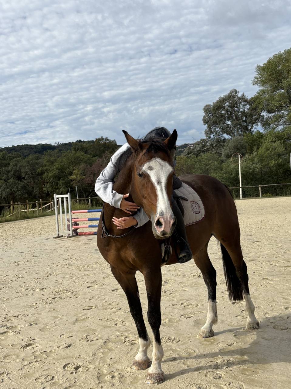 Poney &agrave; vendre 