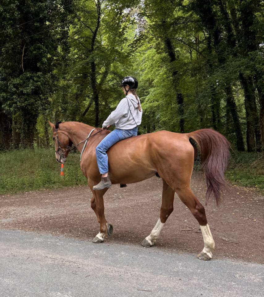 &Agrave; vendre cause &eacute;tude 