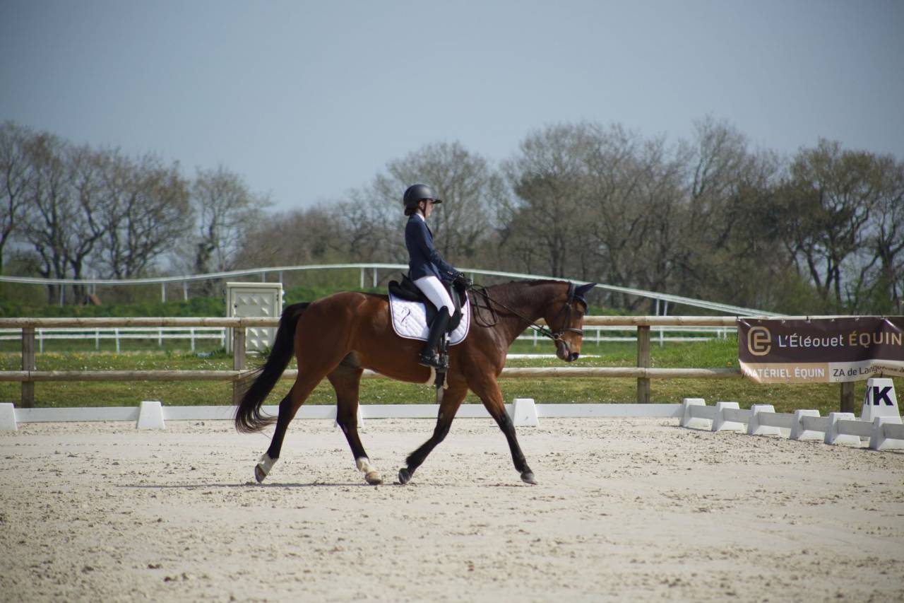 HONGRE 14 ANS POLYVALENT 