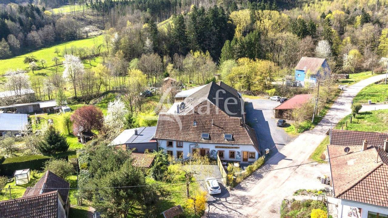 Propri&eacute;t&eacute; &agrave; potentiel &eacute;questre au coeur du Massif des Vosges