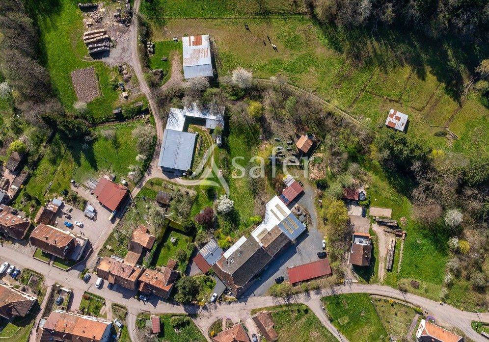 Propri&eacute;t&eacute; &agrave; potentiel &eacute;questre au coeur du Massif des Vosges