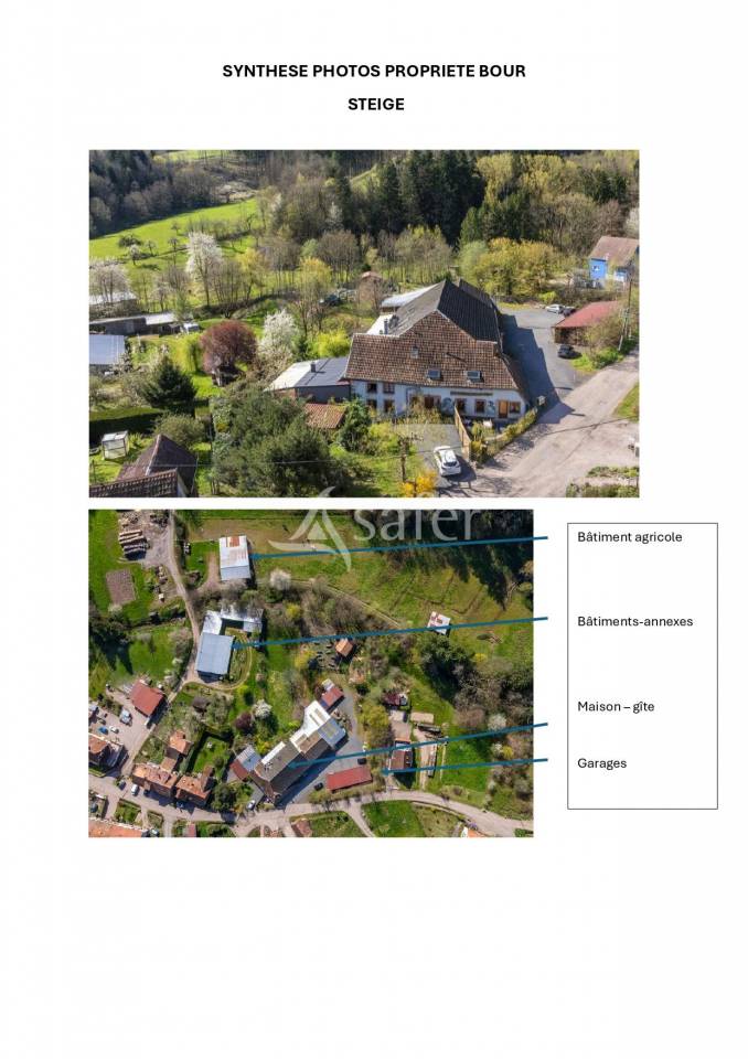 Propri&eacute;t&eacute; &agrave; potentiel &eacute;questre au coeur du Massif des Vosges
