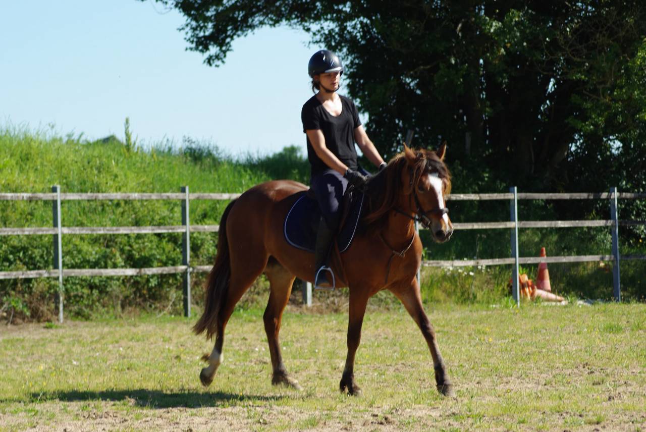 ponette d'avenir 