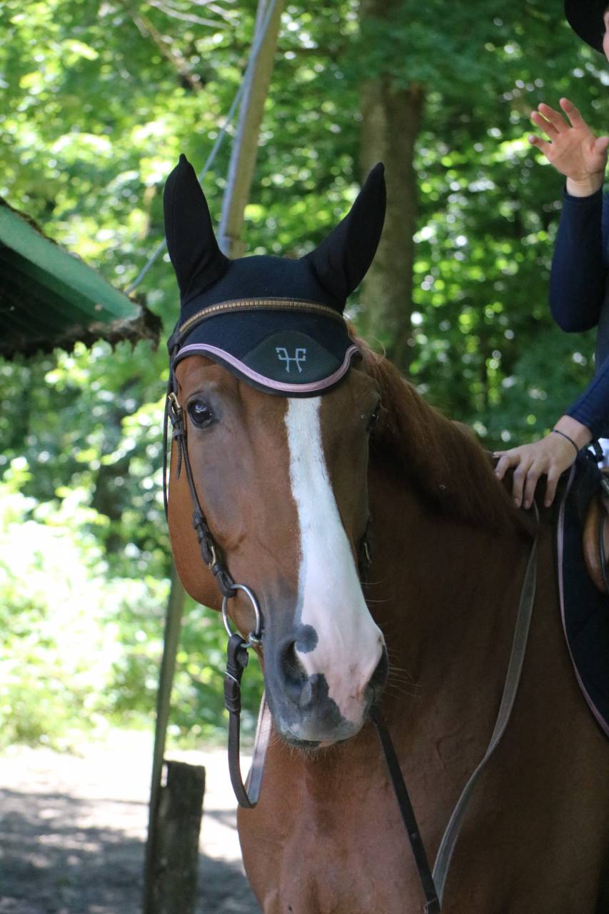 &Agrave; vendre 7 ans avec des moyens, &agrave; finir de former