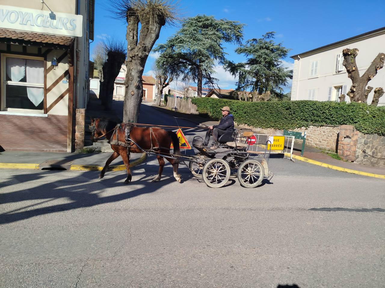 Nuge, Hongre OC de 3 ans