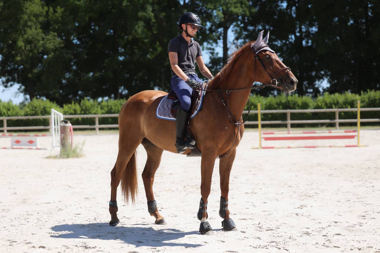 Jument 5 ans Alezane 1m70