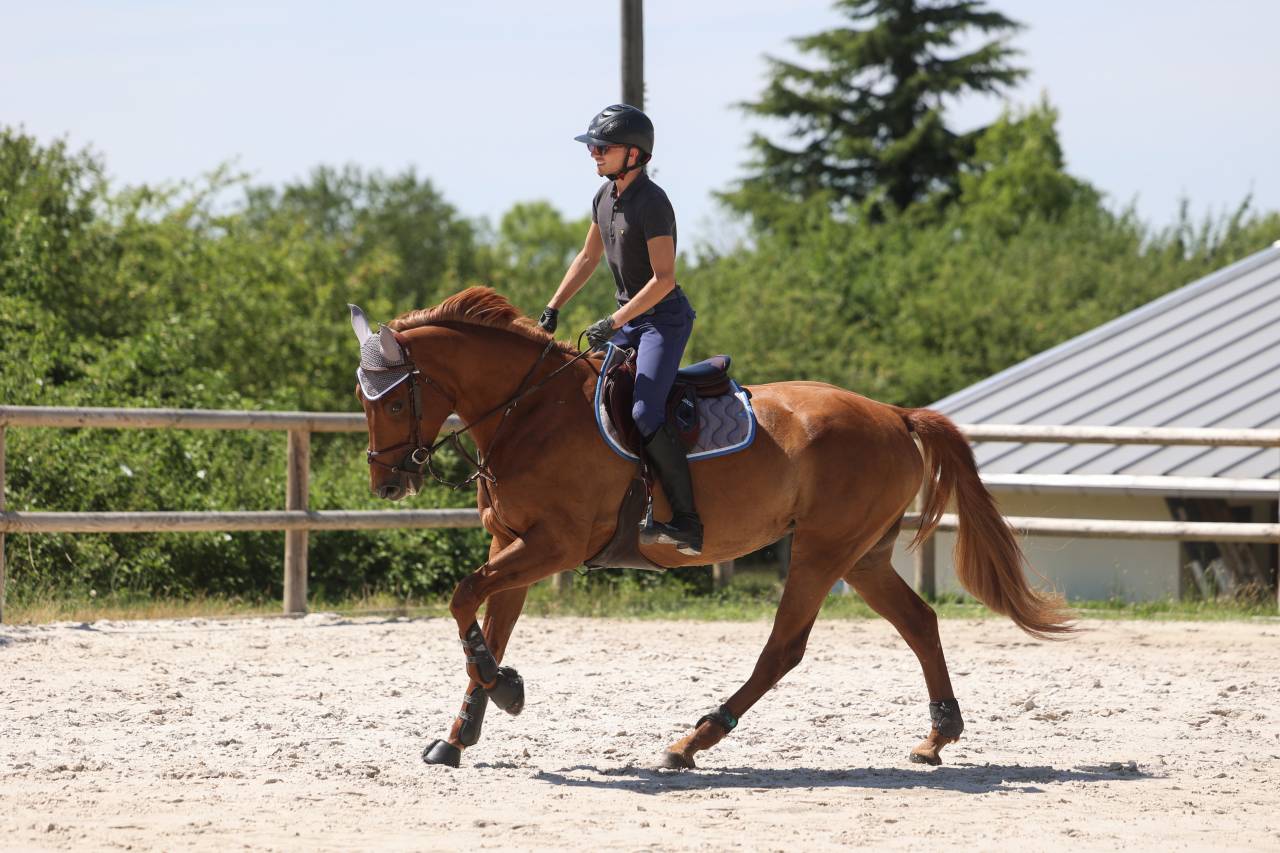 Jument 5 ans Alezane 1m70