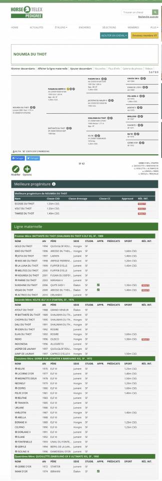 Poulain par Loveur De Startup