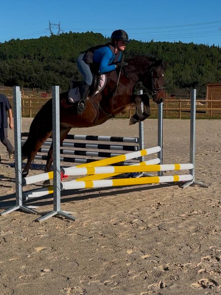 Poney D &agrave; vendre 