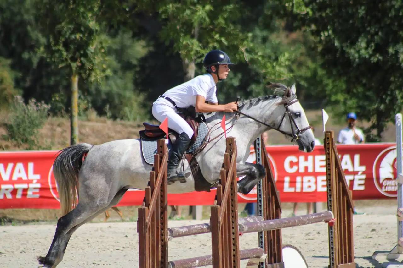 Ponette id&eacute;ale pour CSO et cce