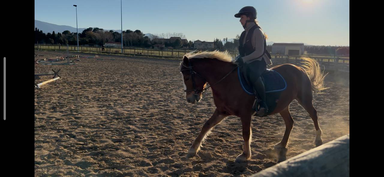  Demi-pension pour ma gentille ponette 