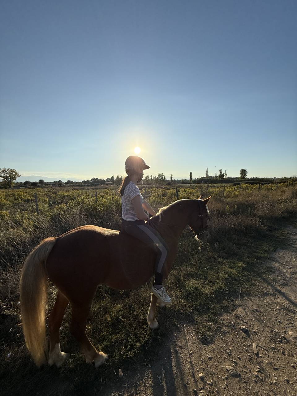  Demi-pension pour ma gentille ponette 