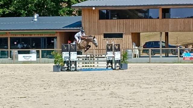 Hongre de 6ans CSO 