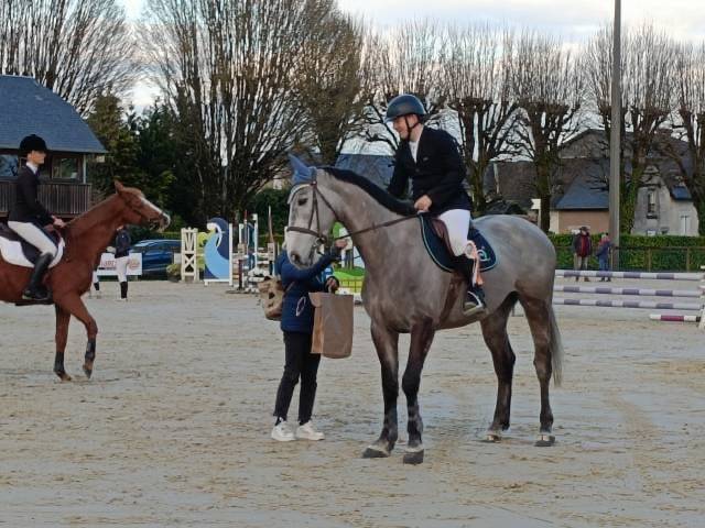 Hongre de 6ans CSO 