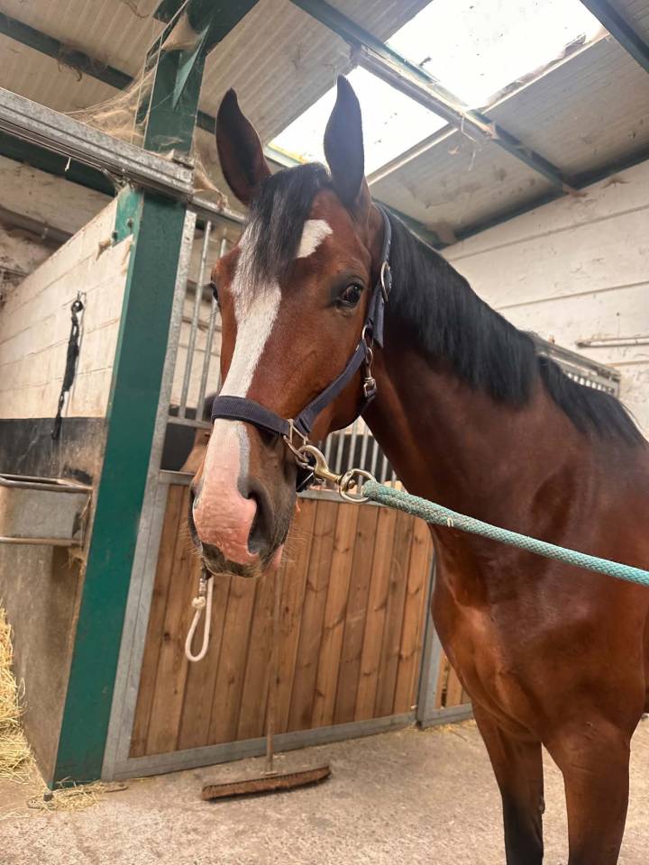 Warco de Wemmel, 4 ans 