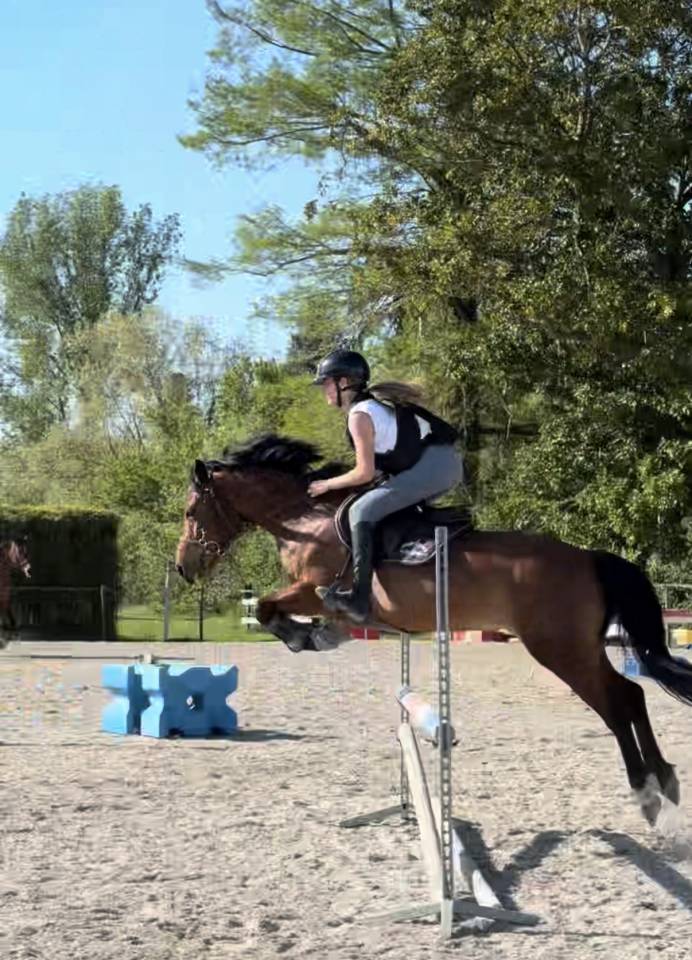ponette D &agrave; vendre 