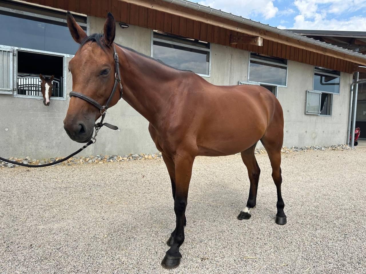 Lilith des lilas 5ans 