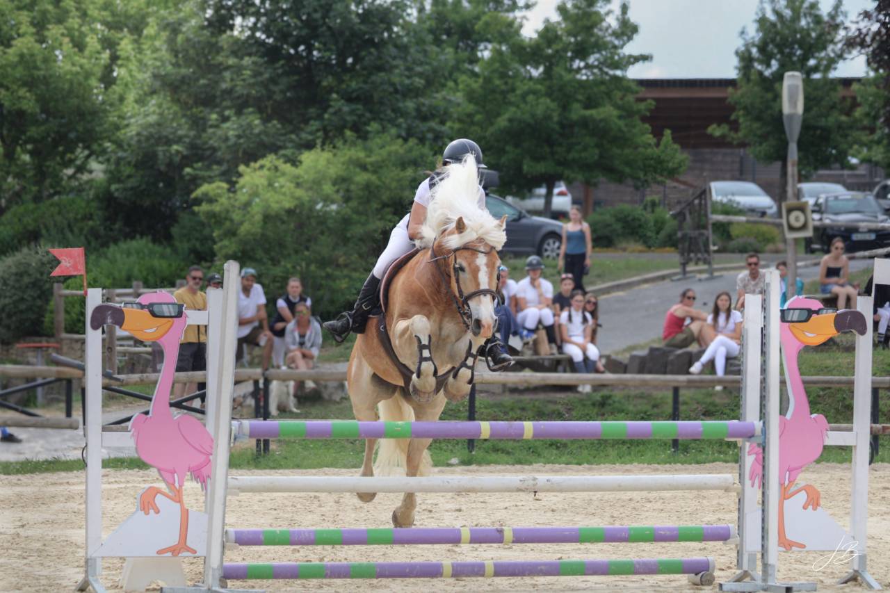 Poneys &agrave; louer 