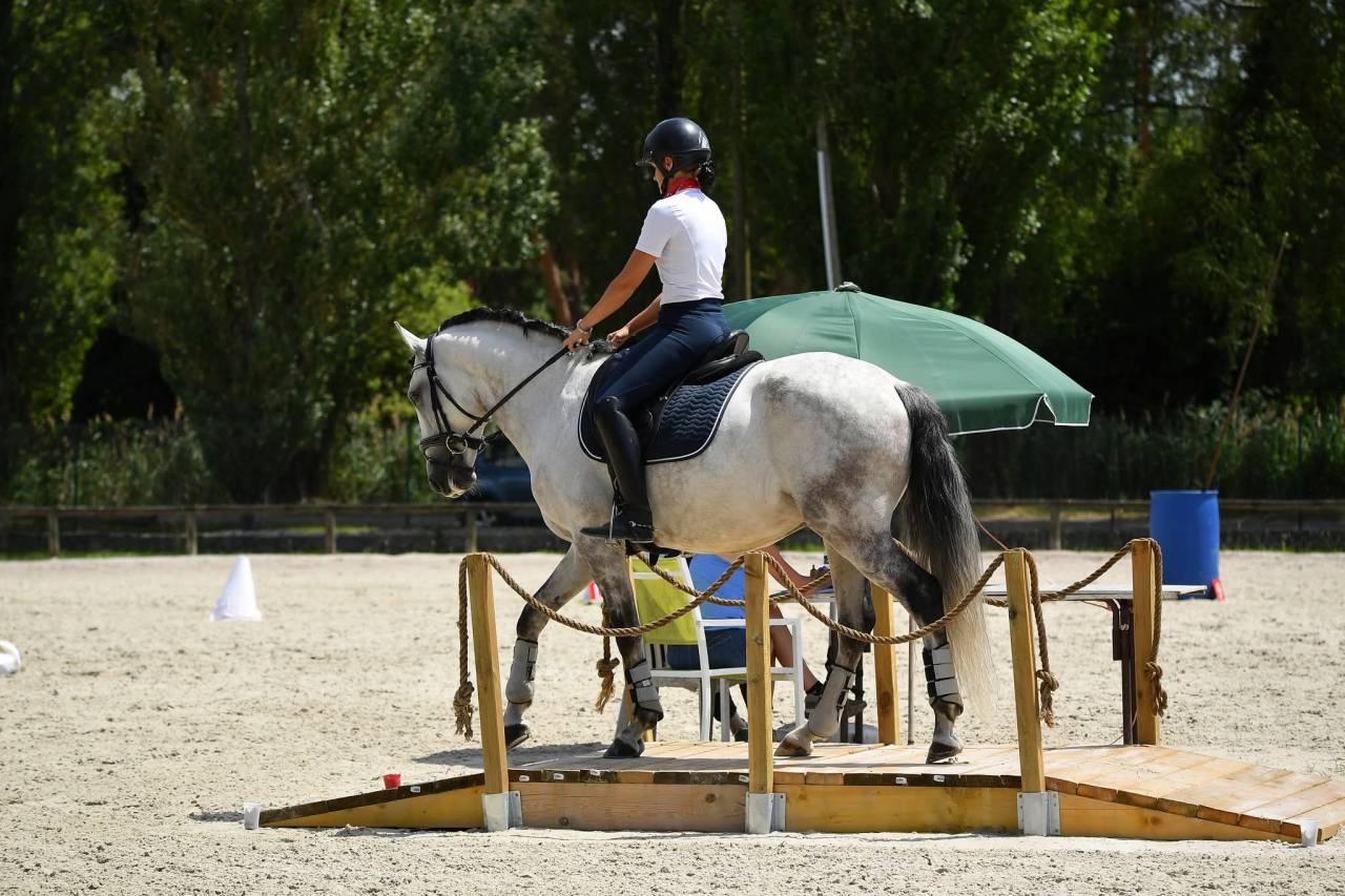 Top PSL de 8 ans dress&eacute; 