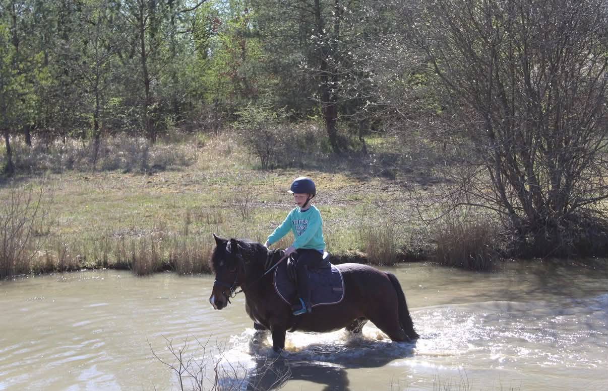 Ponette de 16ans 