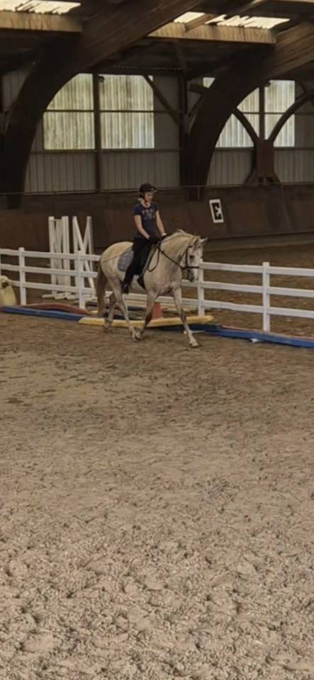 Vends cheval OC
