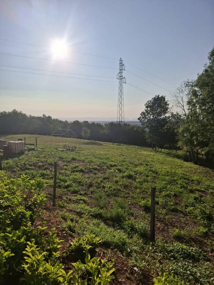 ? LOCATION D&rsquo;UN TERRAIN POUR CHEVAUX &ndash; COUZON-AU-MONT-