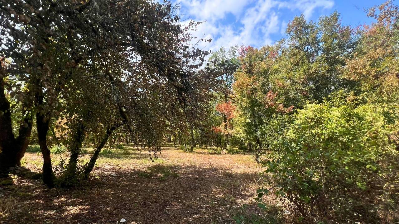 Lot : propri&eacute;t&eacute; de 7ha