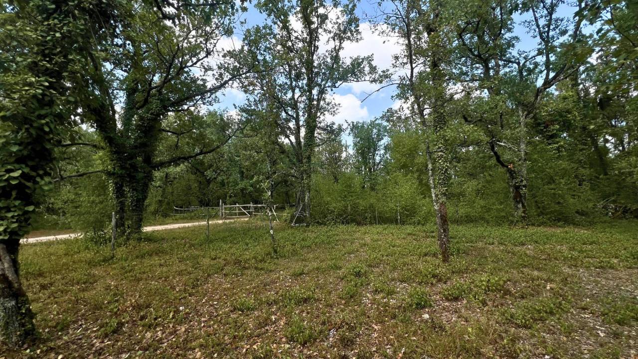 Lot : propri&eacute;t&eacute; de 7ha