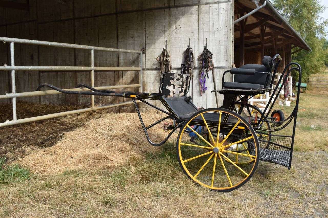 Voiture d'attelage 2 roues &ndash; Voie 125cm (Normandie)