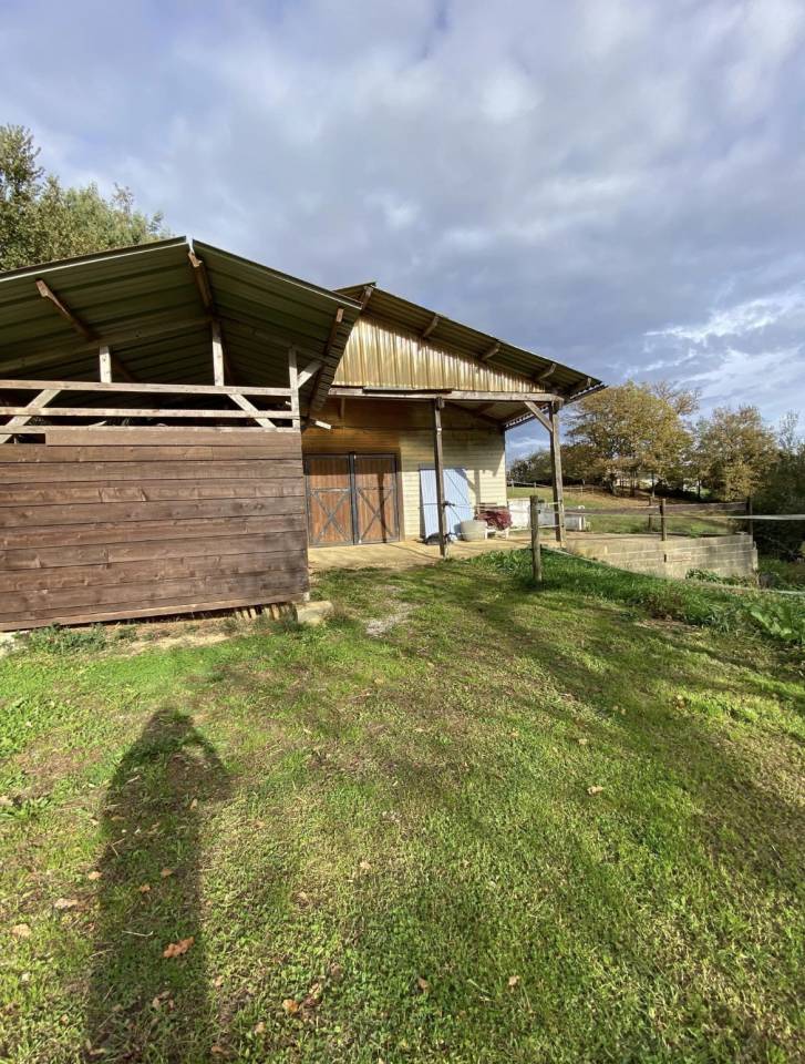 Pension chevaux - &Eacute;curie de Bouielh - 64 GARLIN